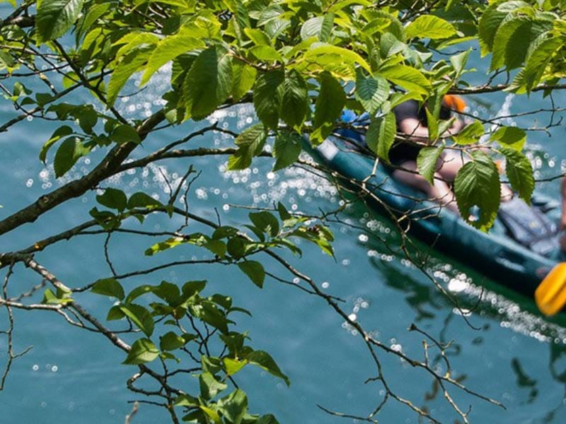Consejo: disfrutar paisaje del río