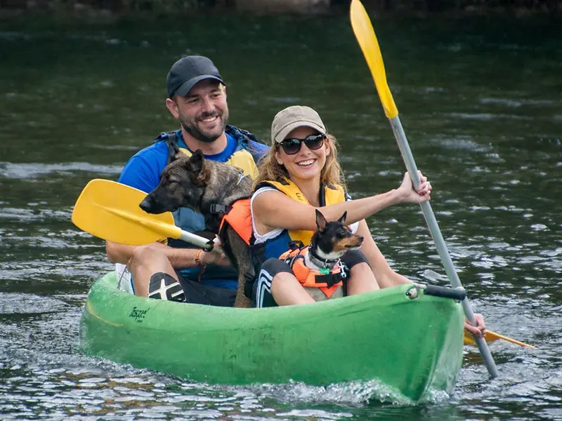 Una pareja rema en una embarcación acompañados por dos perros