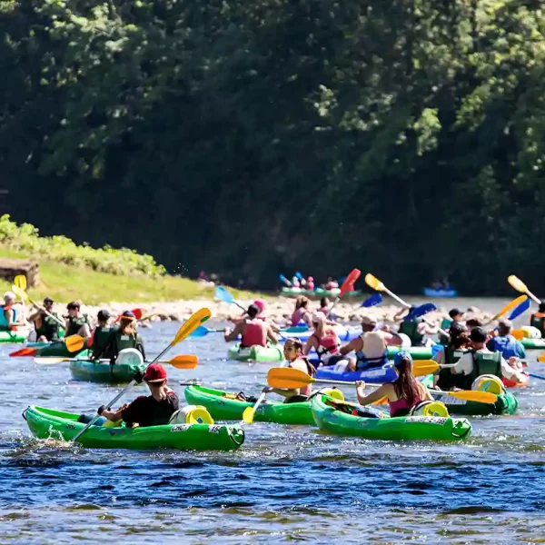 Descenso del Sella para grupos: varias canoas de amigos bajando el río